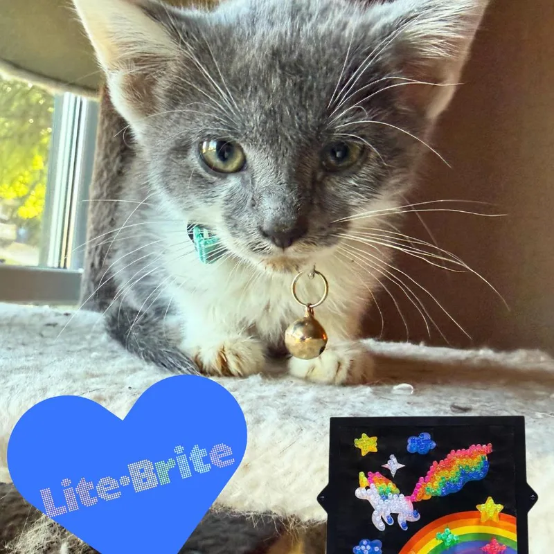 Lite Brite thumbnail 3