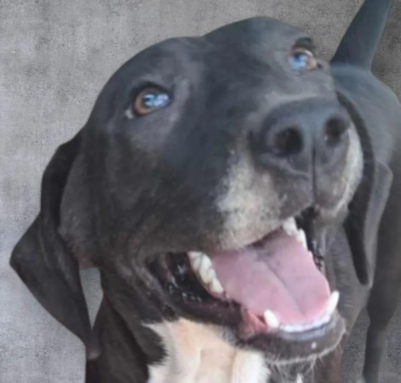 Ima Save Money thumbnail 2