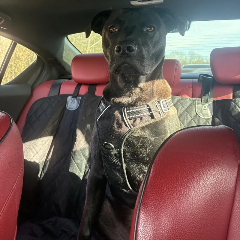 Mckellan thumbnail 2