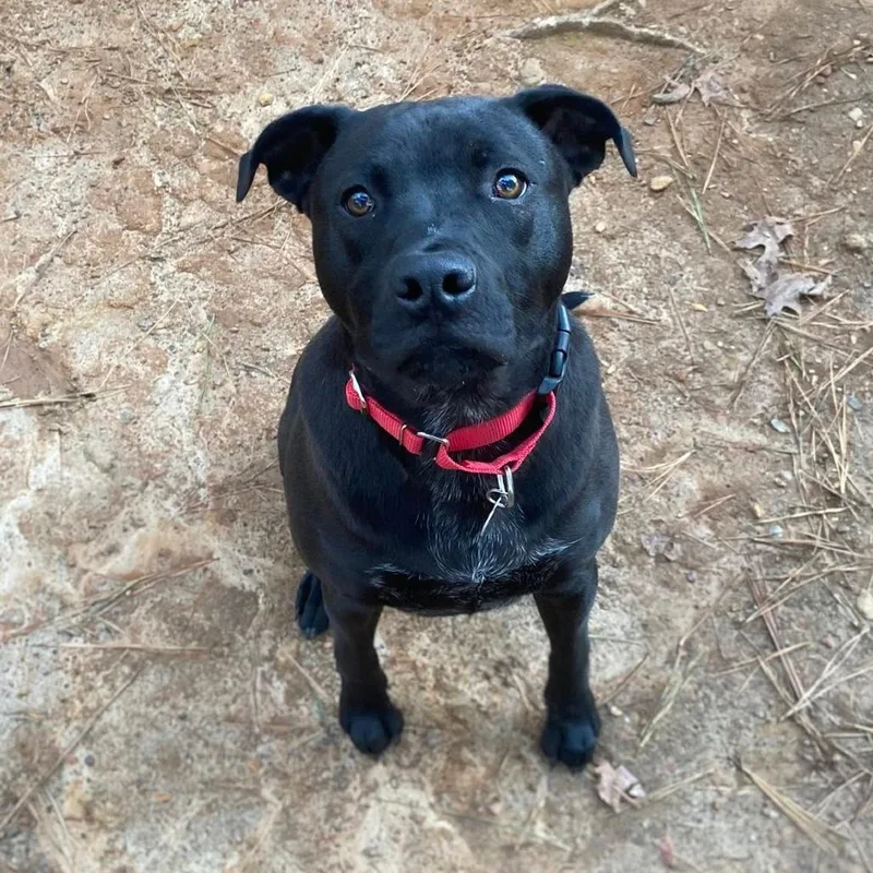 Mckellan thumbnail 3