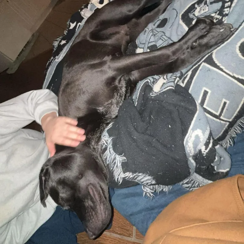 Mckellan thumbnail 4