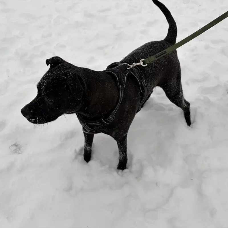 Mckellan thumbnail 5