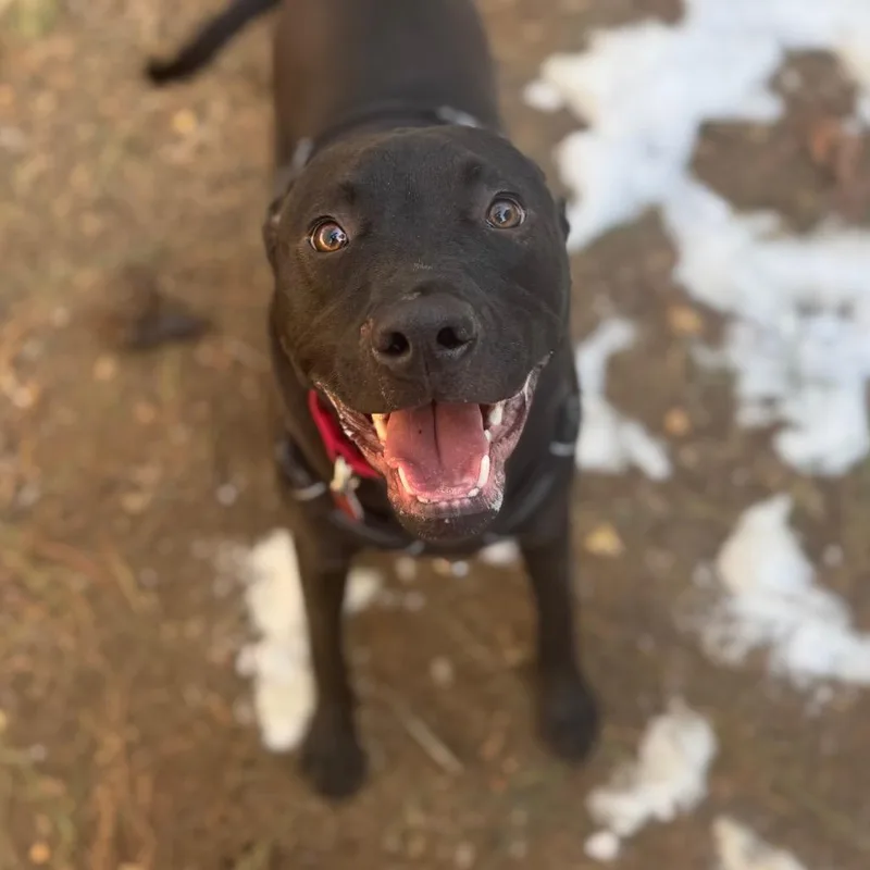 Mckellan thumbnail 6