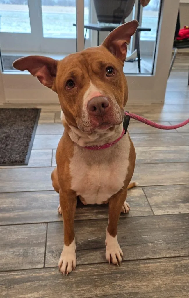 Serene Yrly thumbnail 3