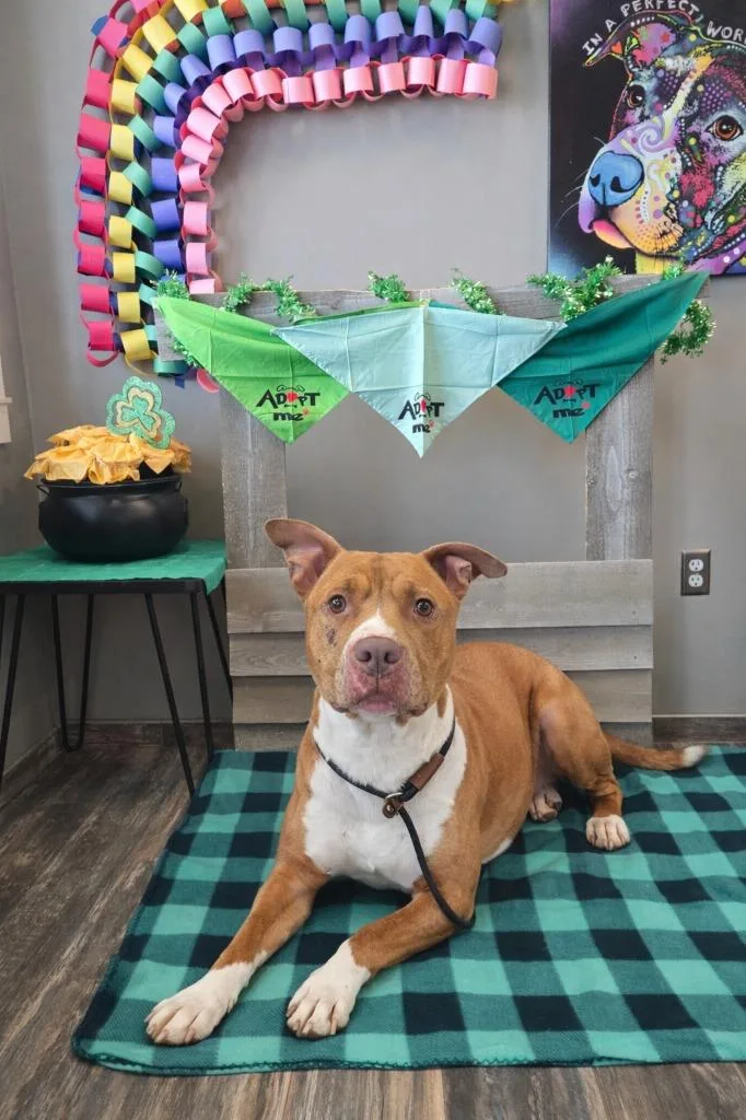 Serene Yrly thumbnail 4