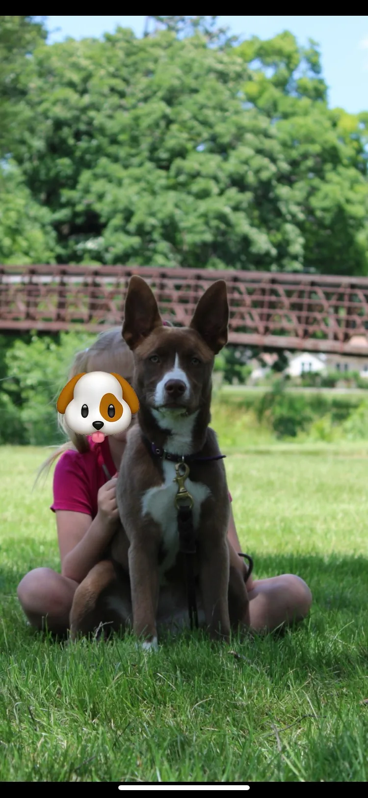 Jacey thumbnail 4