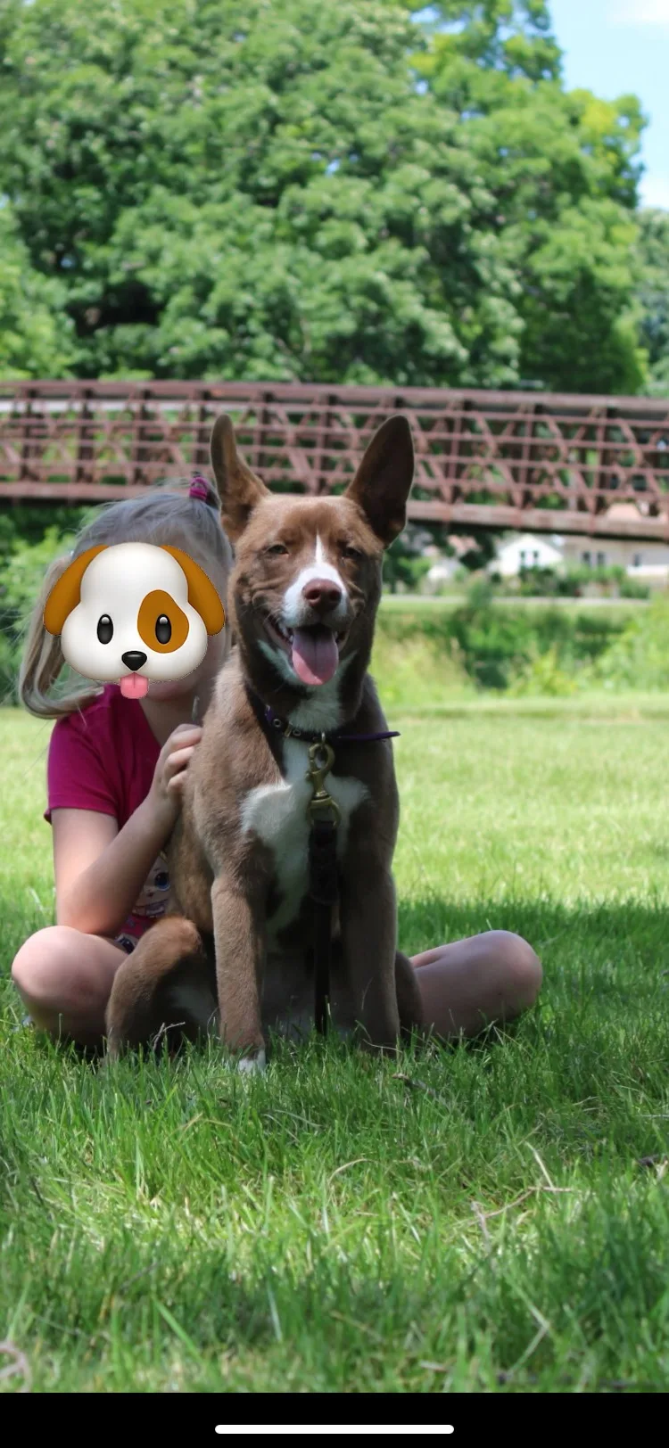 Jacey thumbnail 5