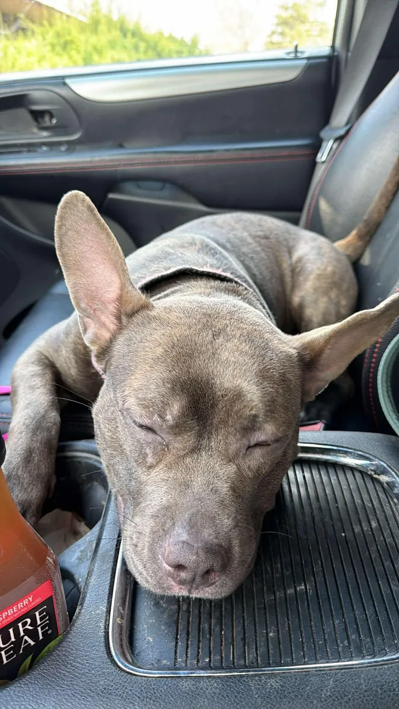 Choo Choo thumbnail 2