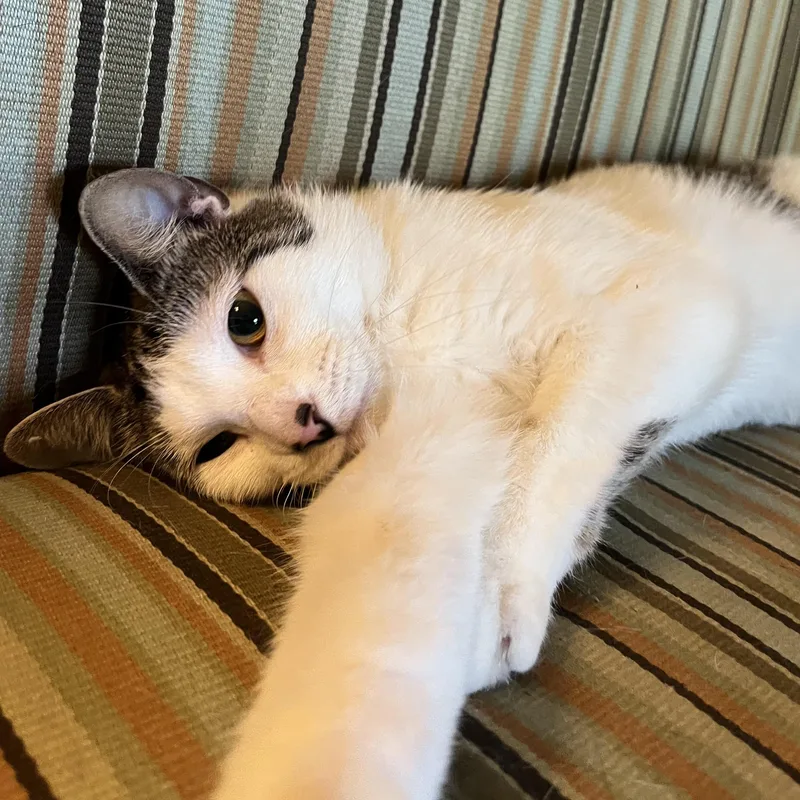 Floracita thumbnail 2