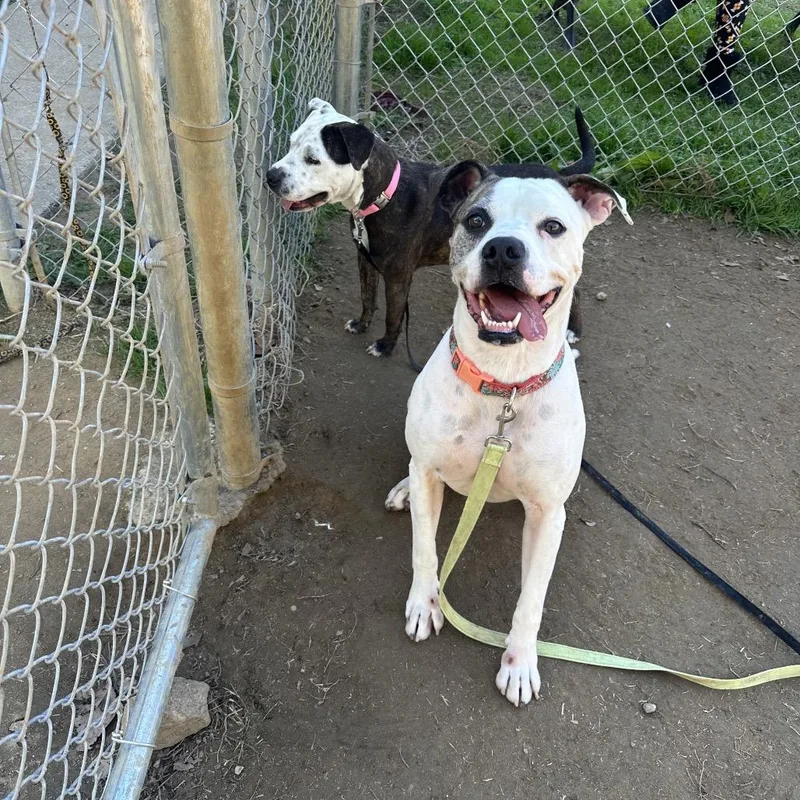 Couch Potato thumbnail 2