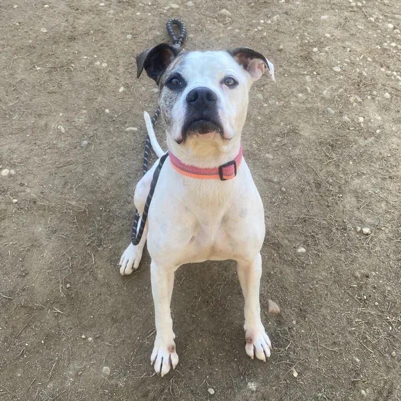 Couch Potato thumbnail 3