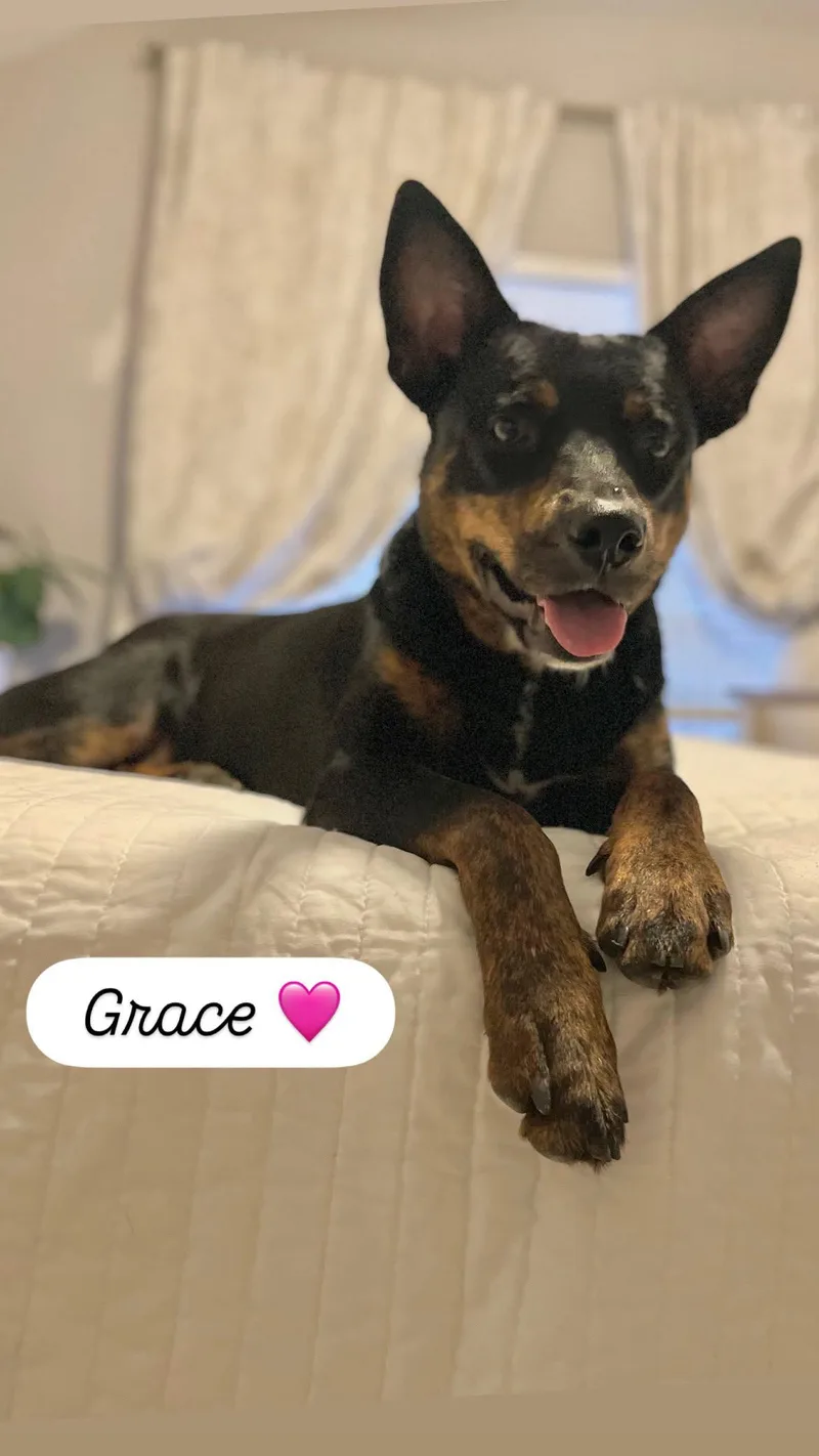 Grace thumbnail 3