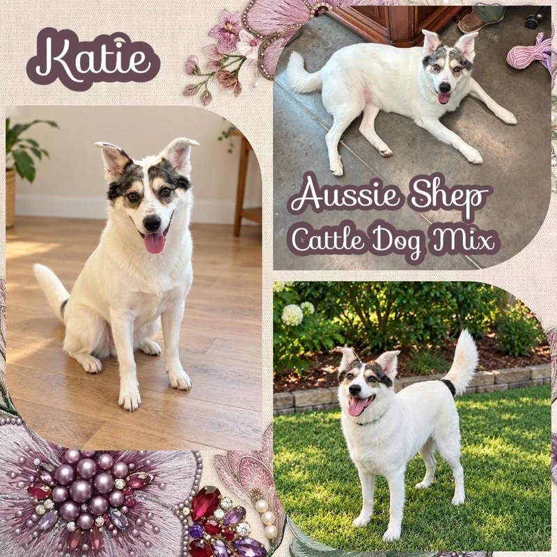Katie thumbnail 3
