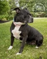 Wilma thumbnail 2
