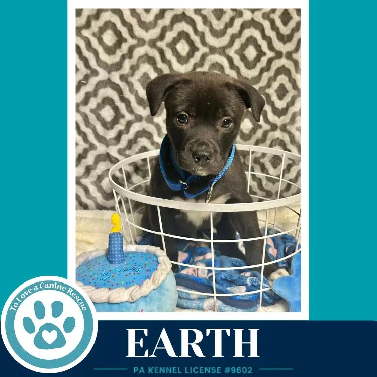 Earth thumbnail 2