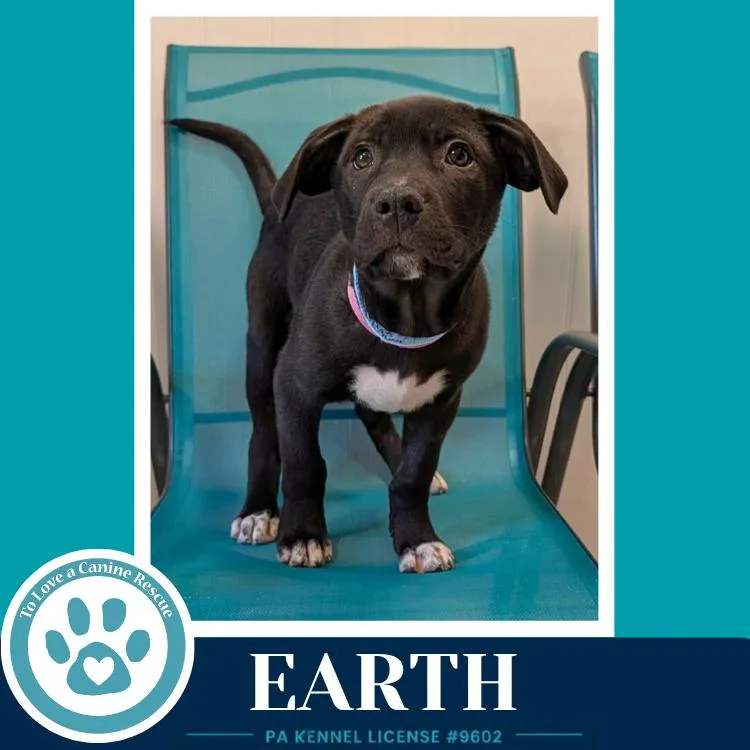 Earth thumbnail 3