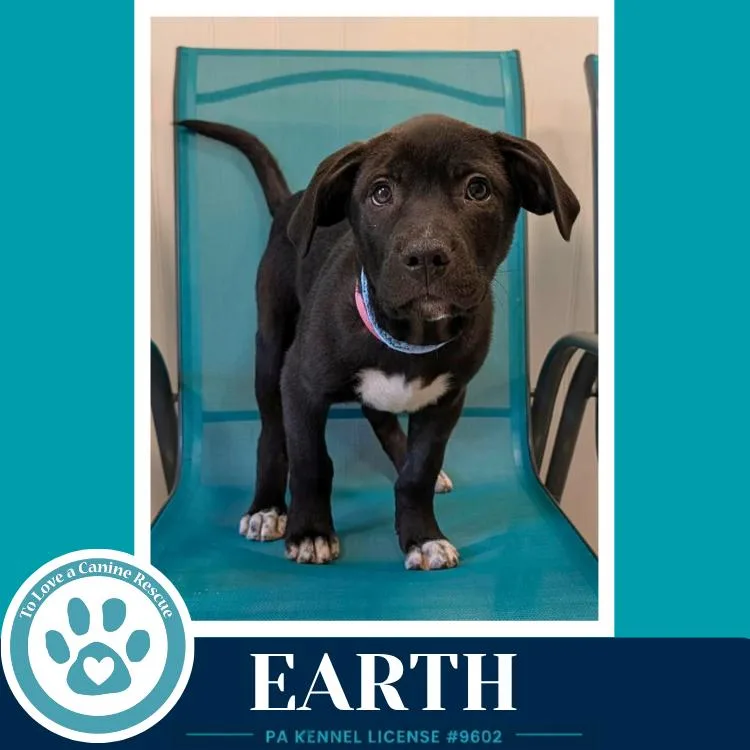 Earth thumbnail 4