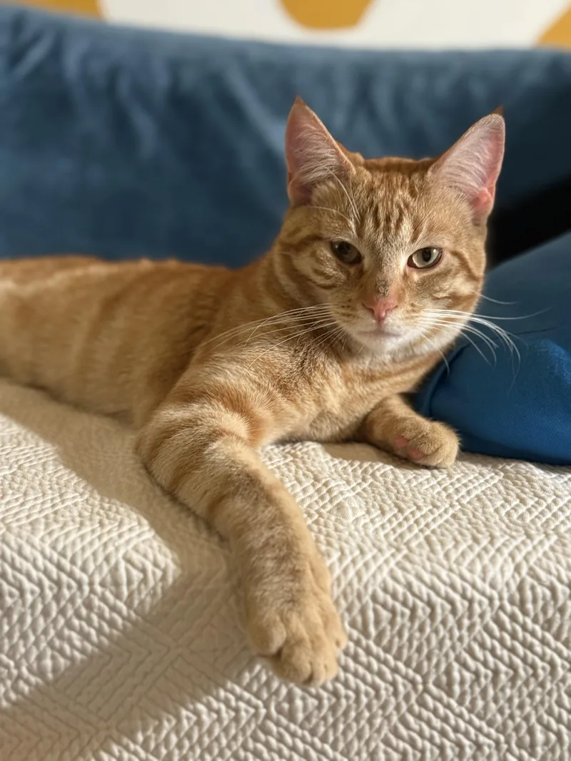 Heirloom thumbnail 2