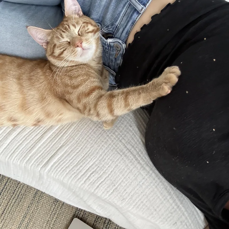 Heirloom thumbnail 3