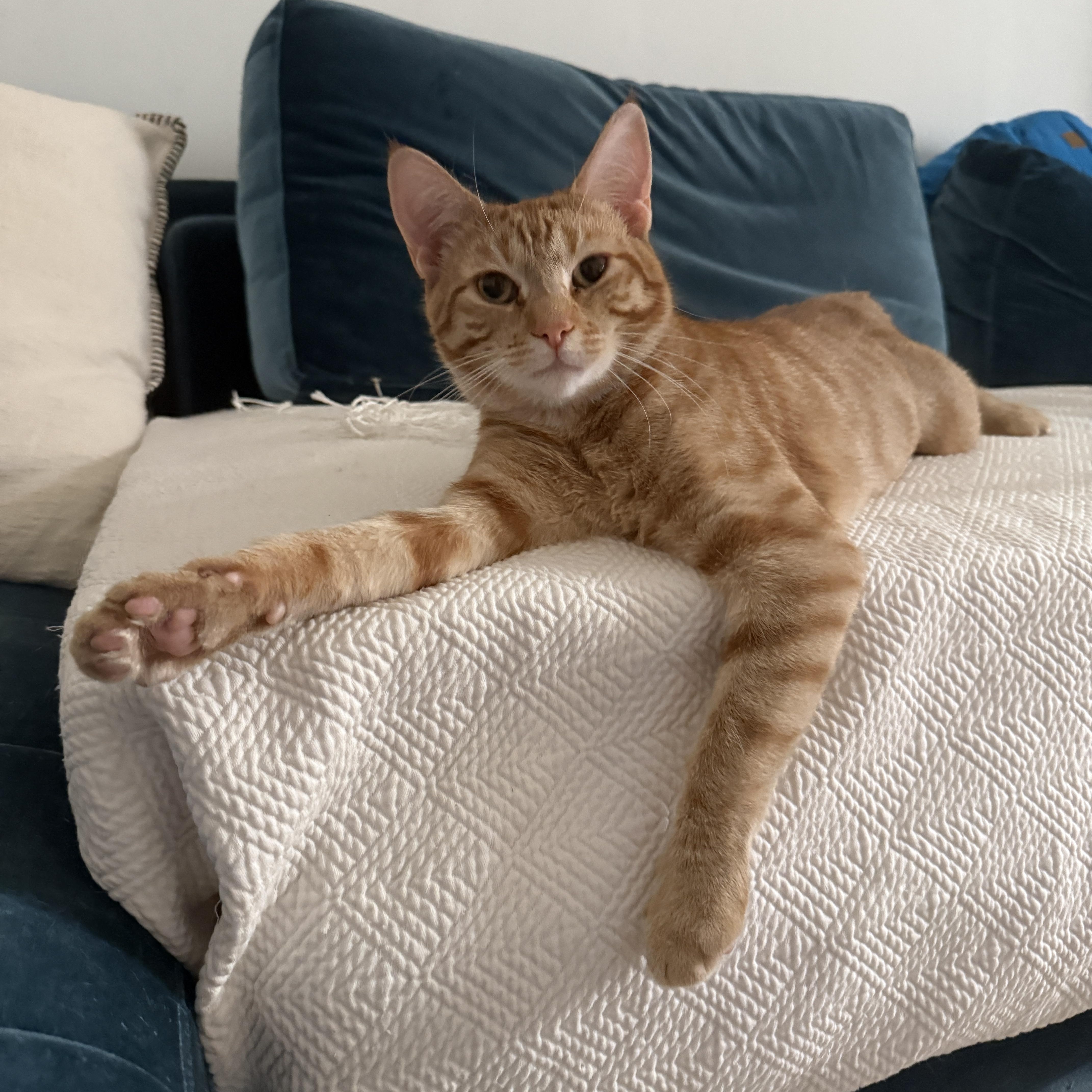 Heirloom thumbnail 4