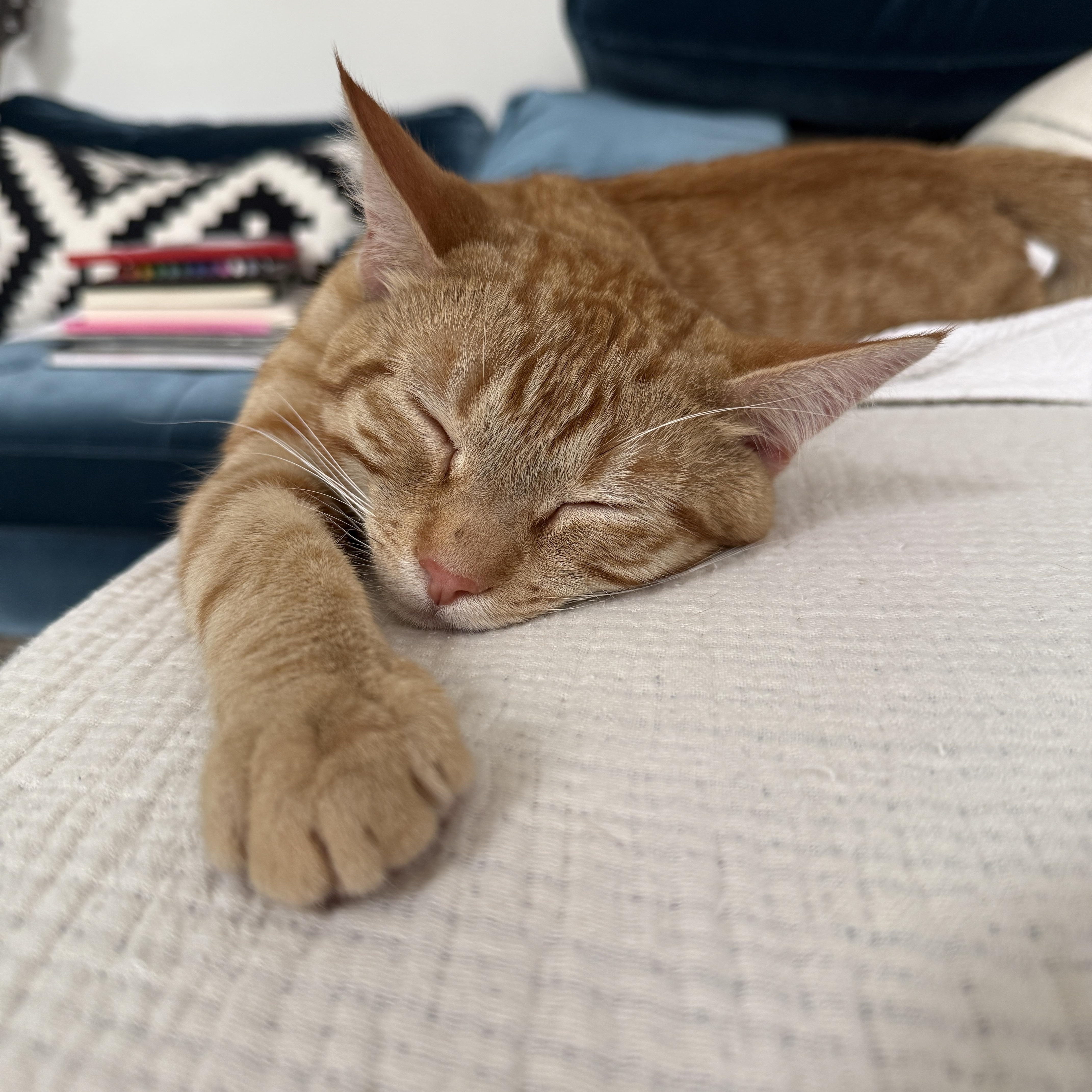 Heirloom thumbnail 5