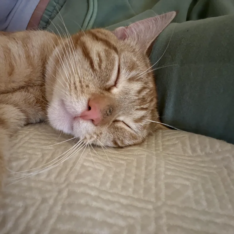 Heirloom thumbnail 6