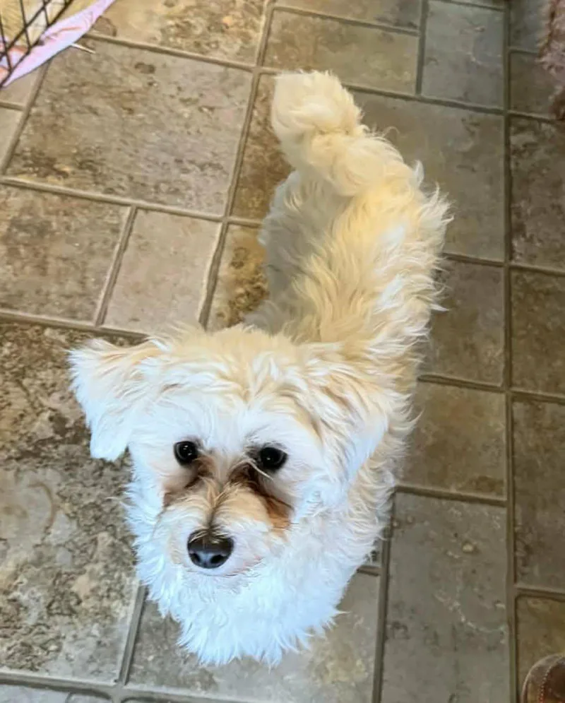 Winnie
