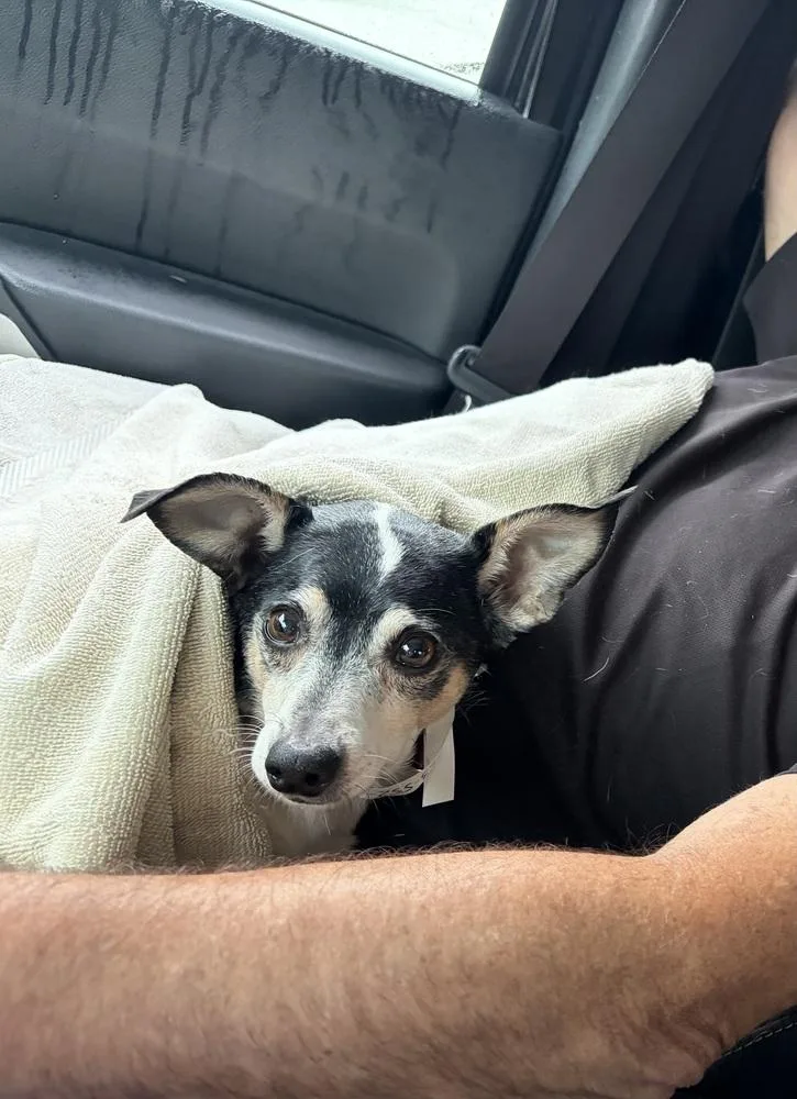 Paco