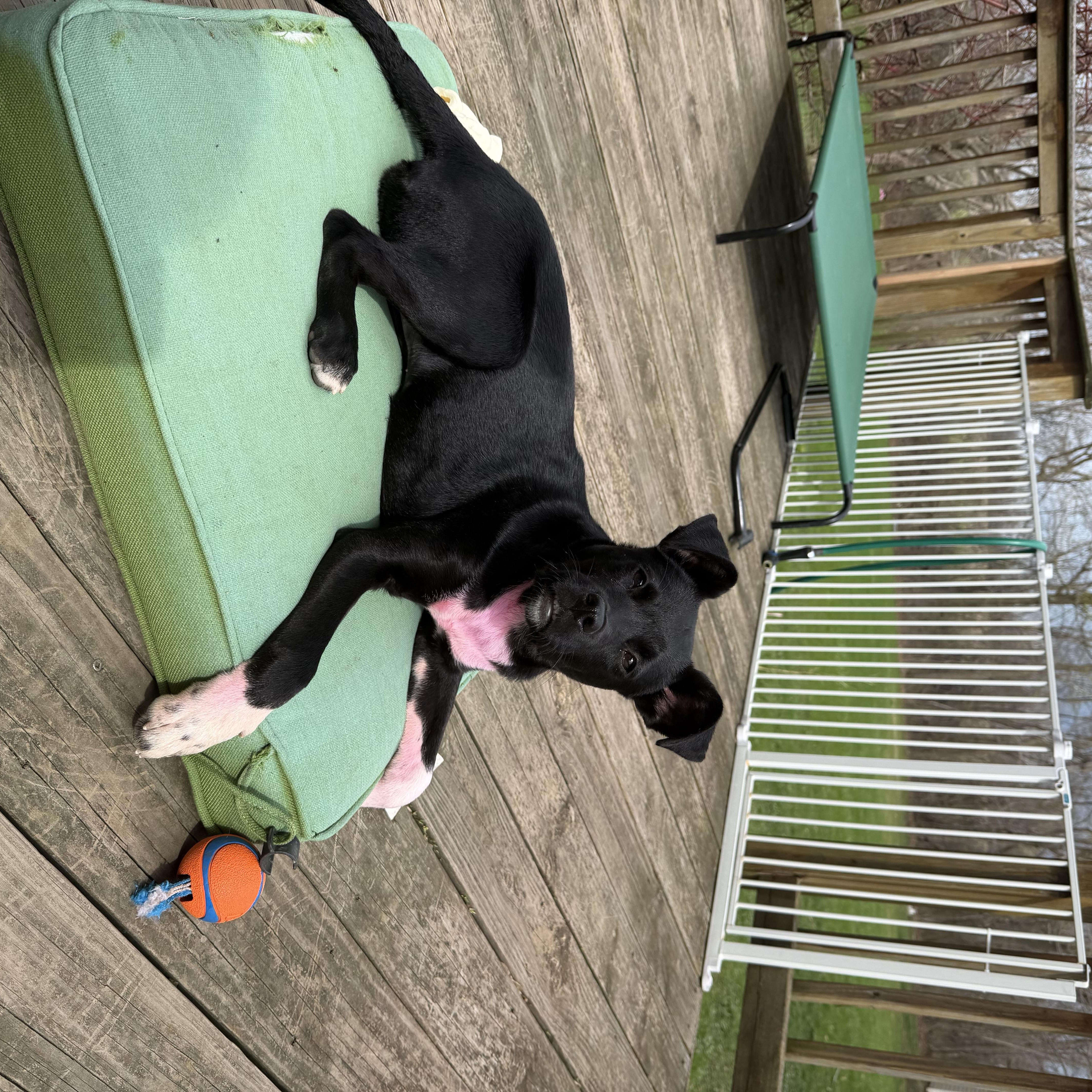 Elle Woods thumbnail 4