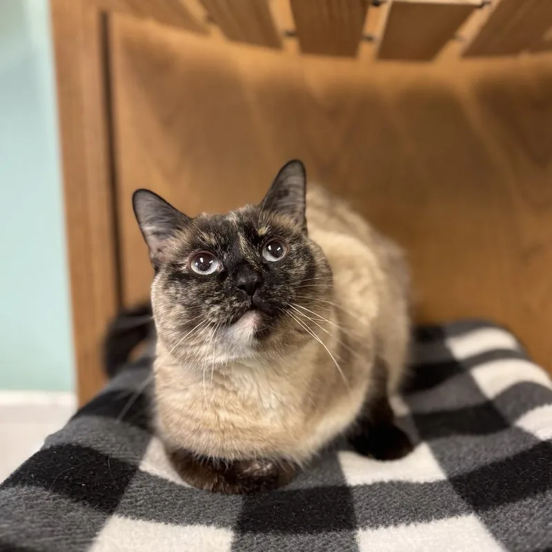 Blue Lagoon thumbnail 5