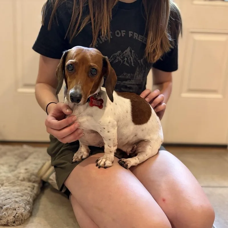 Ellie