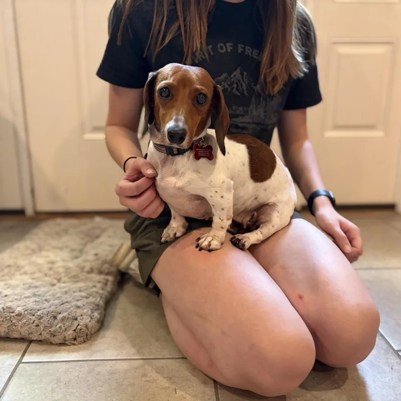 Ellie thumbnail 2