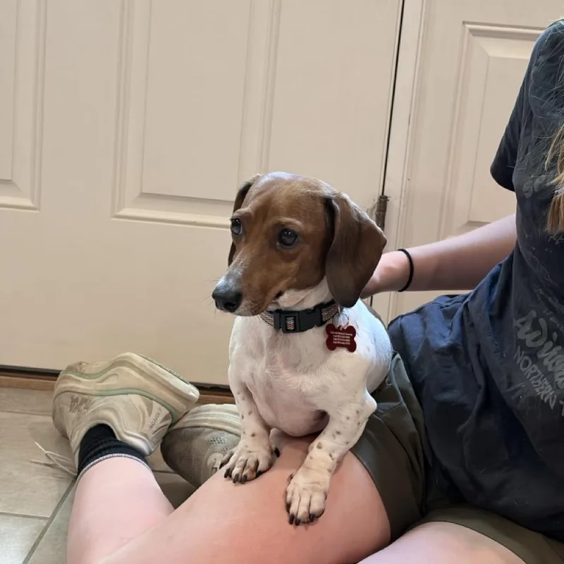 Ellie thumbnail 3
