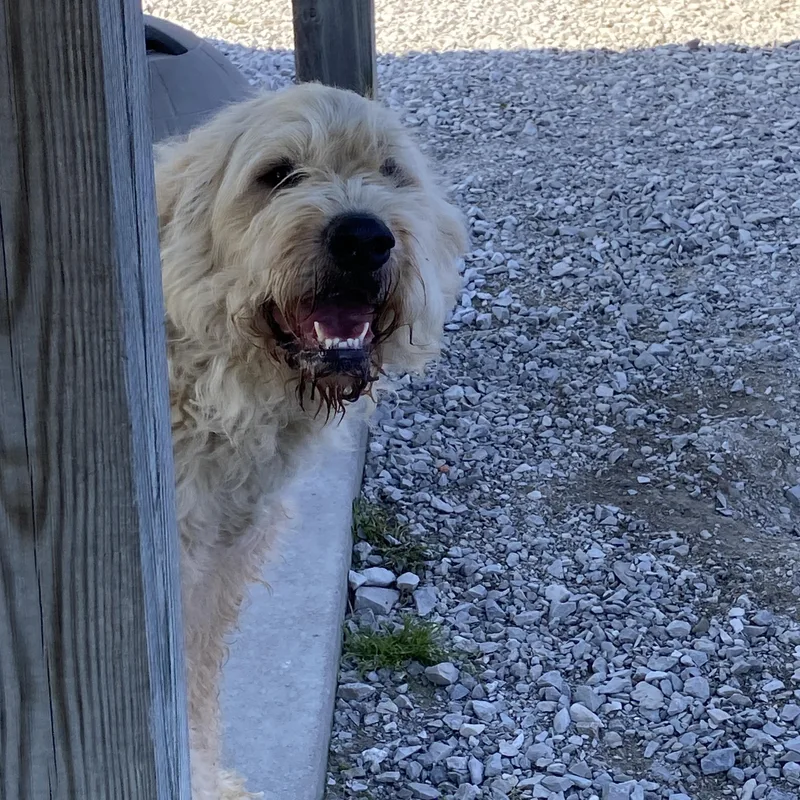 Tucker