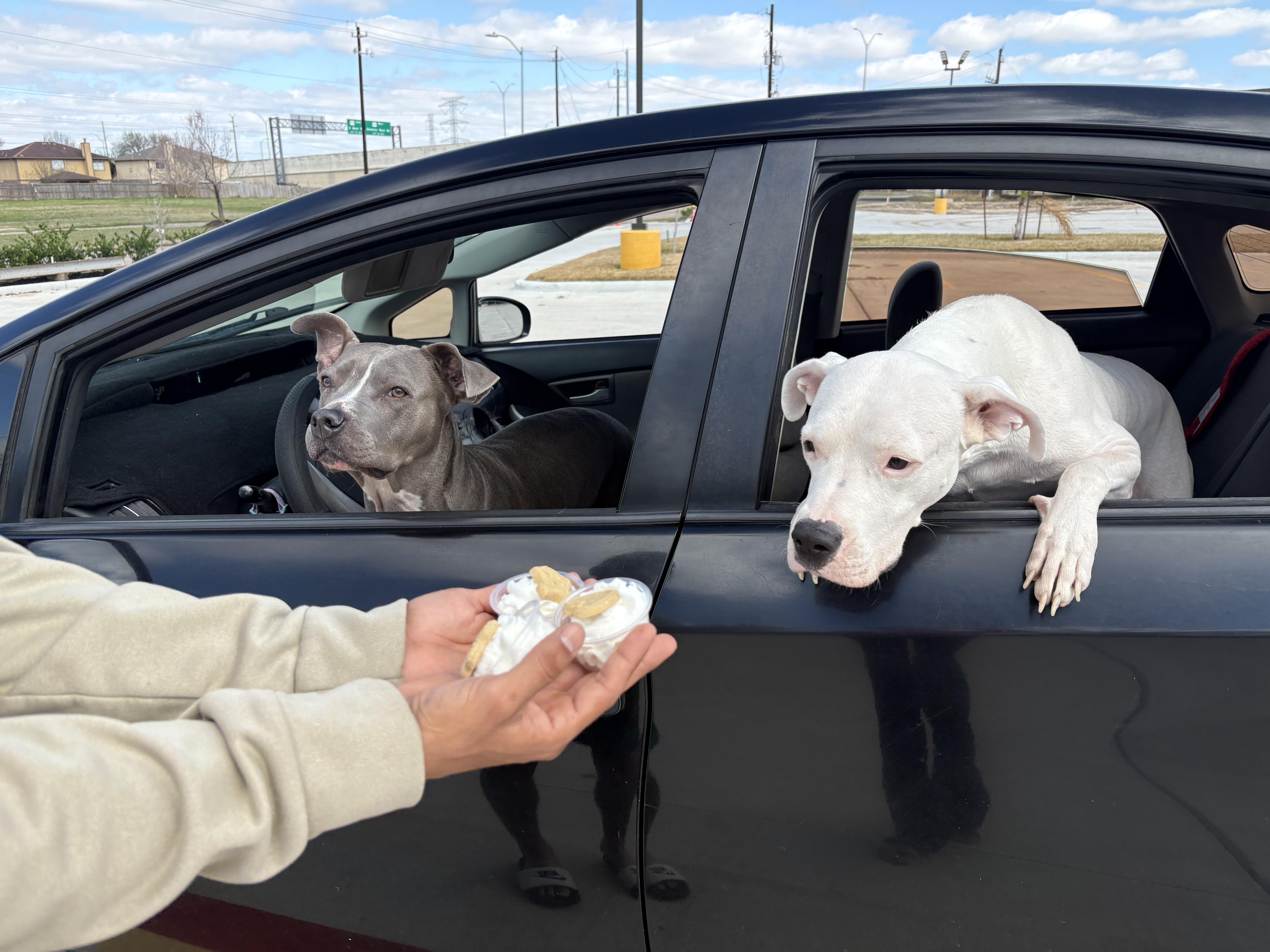 Georgia Peach thumbnail 4