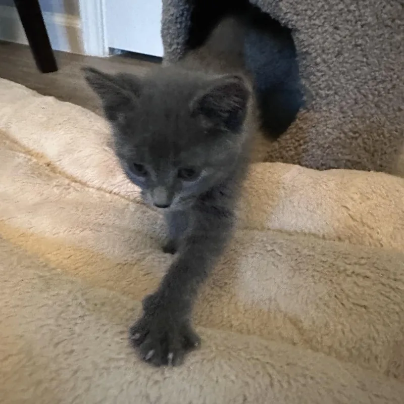 Nellie thumbnail 5