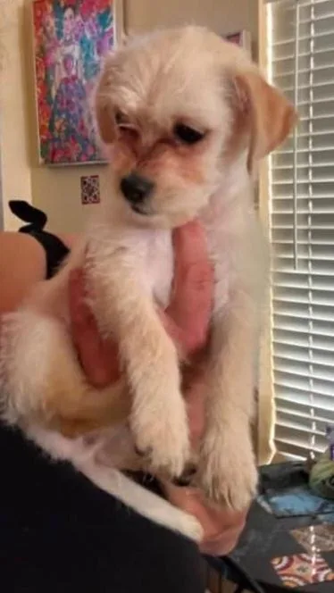 Ted thumbnail 2