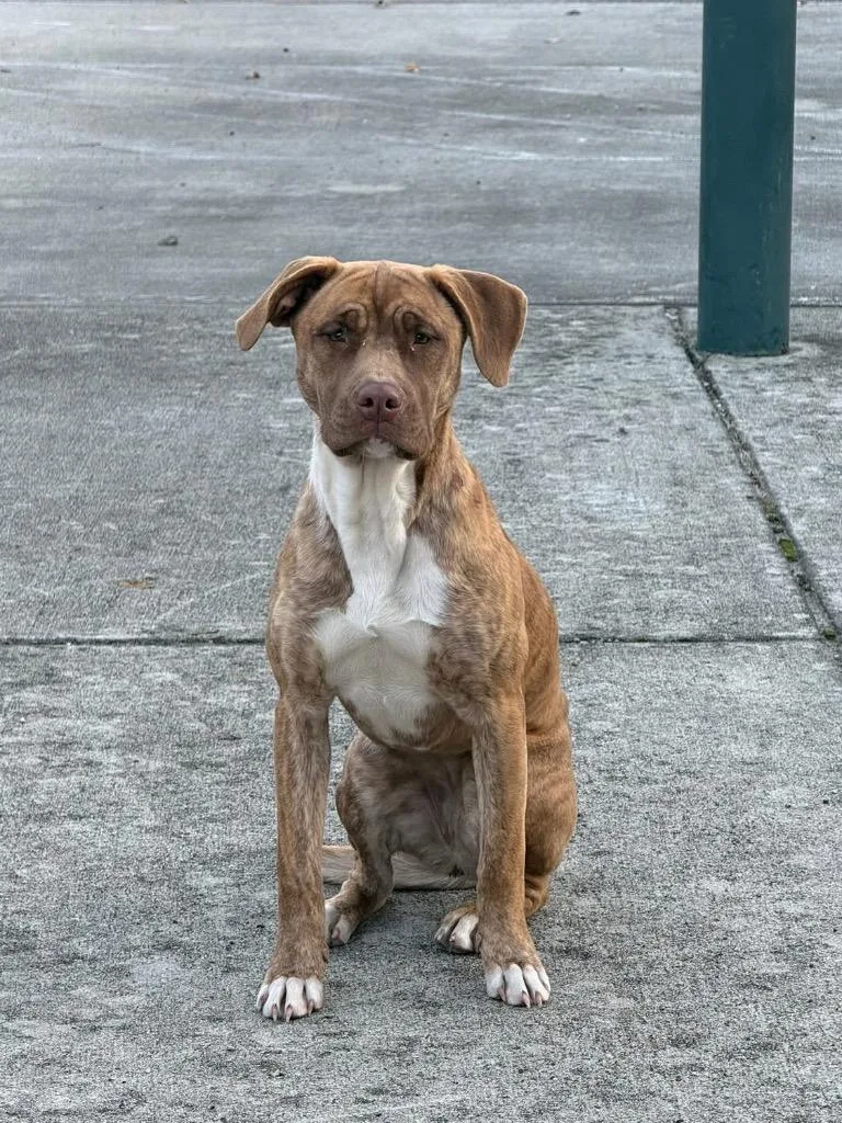 Taylor Sue thumbnail 2