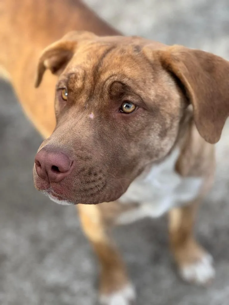 Taylor Sue thumbnail 4