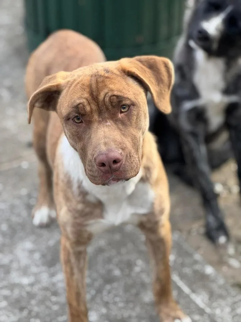 Taylor Sue thumbnail 5