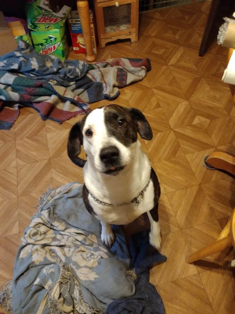 Harley  Lake Village thumbnail 2