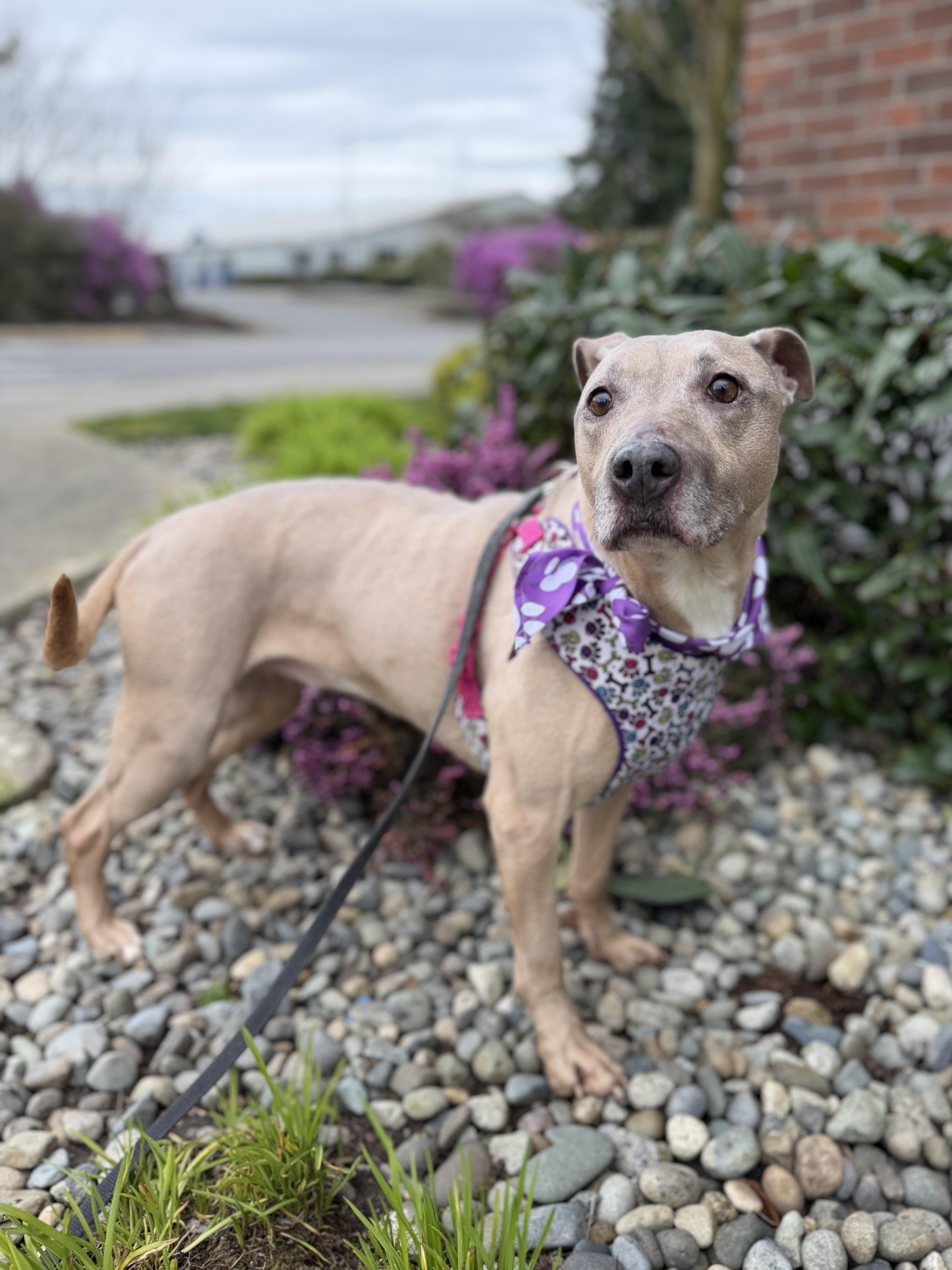 Little Mama thumbnail 2