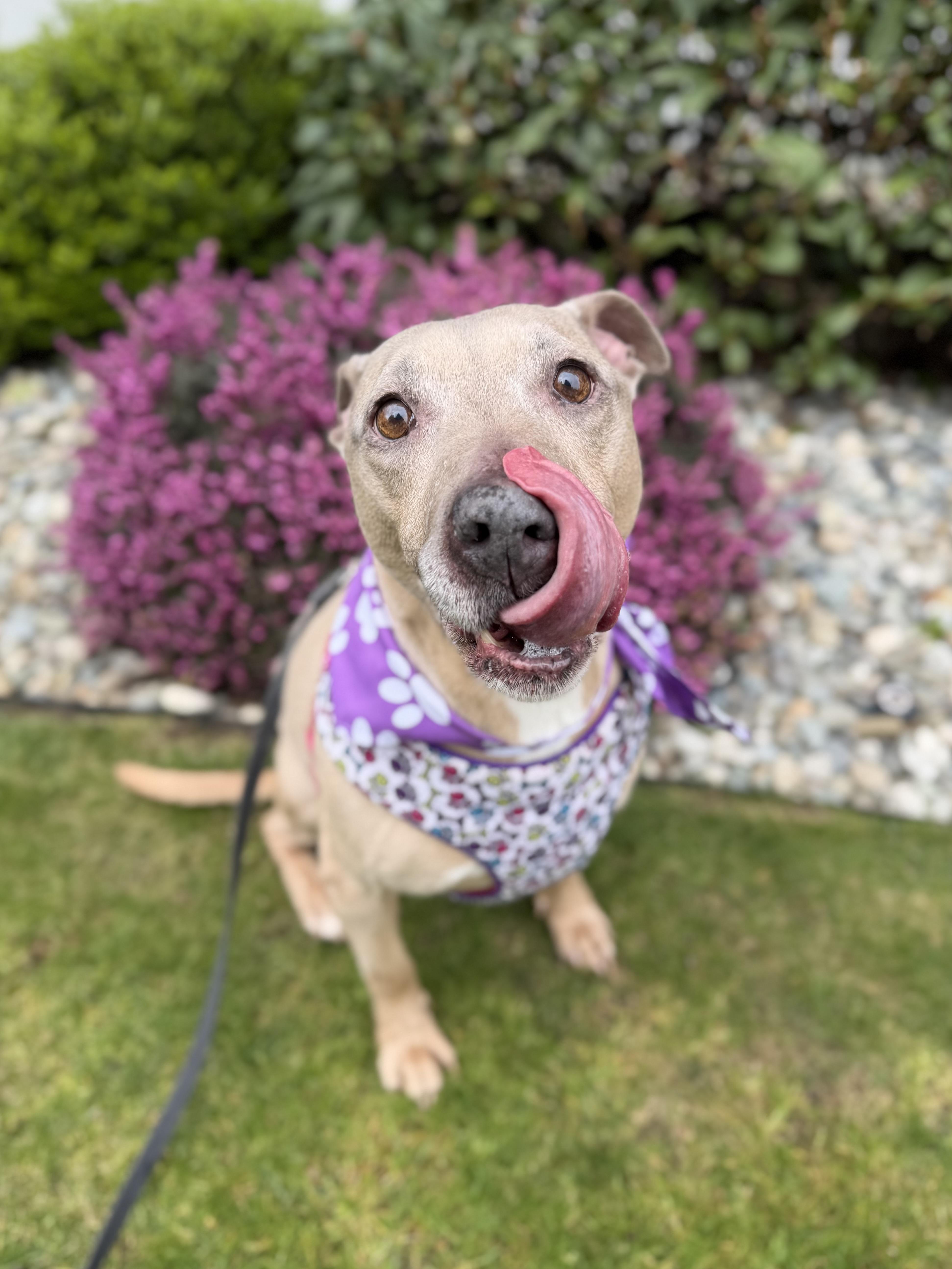 Little Mama thumbnail 3