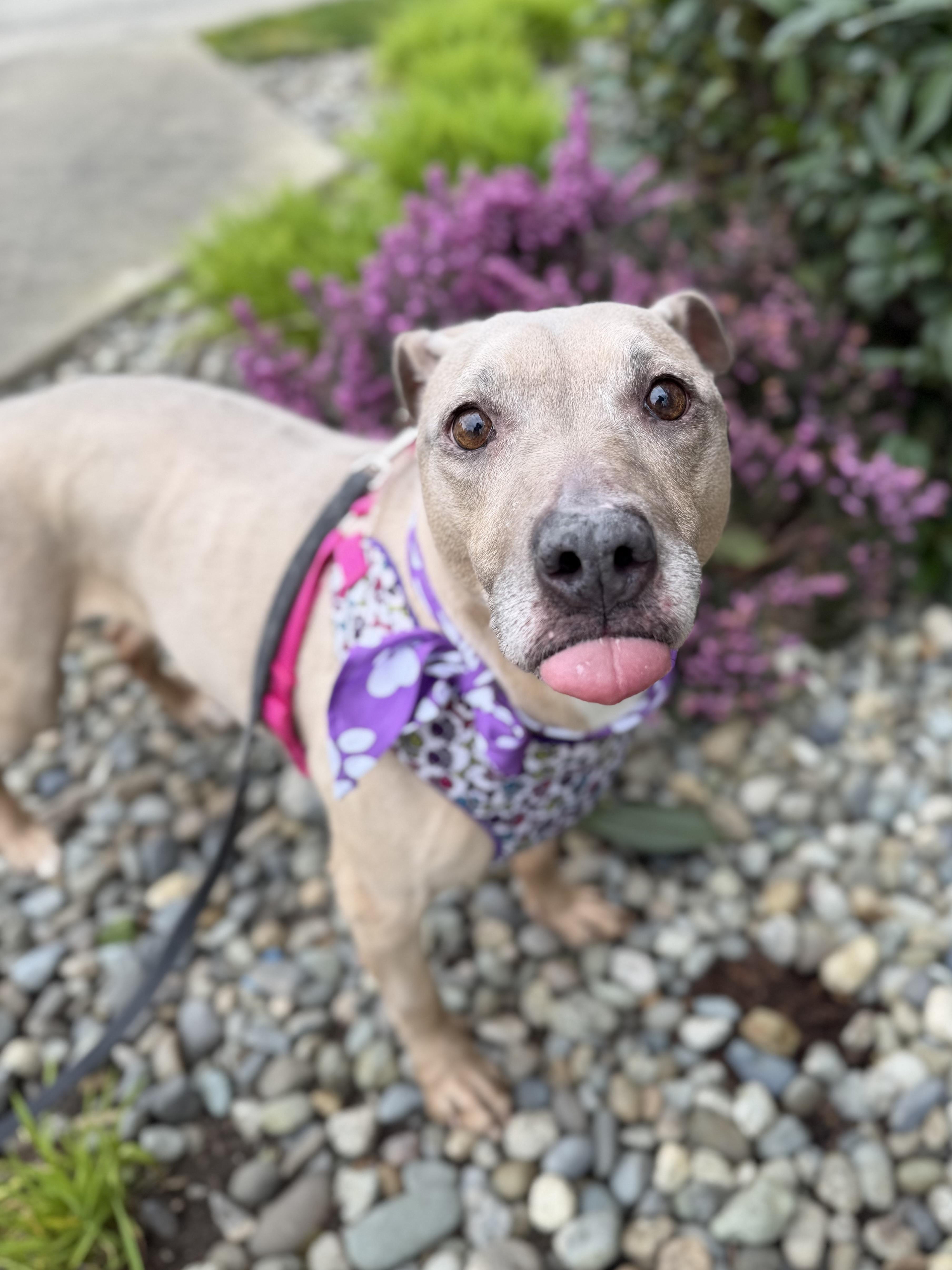 Little Mama thumbnail 4