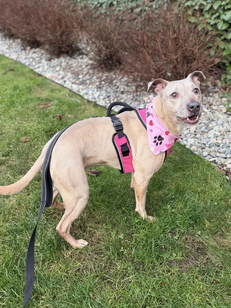 Little Mama thumbnail 5