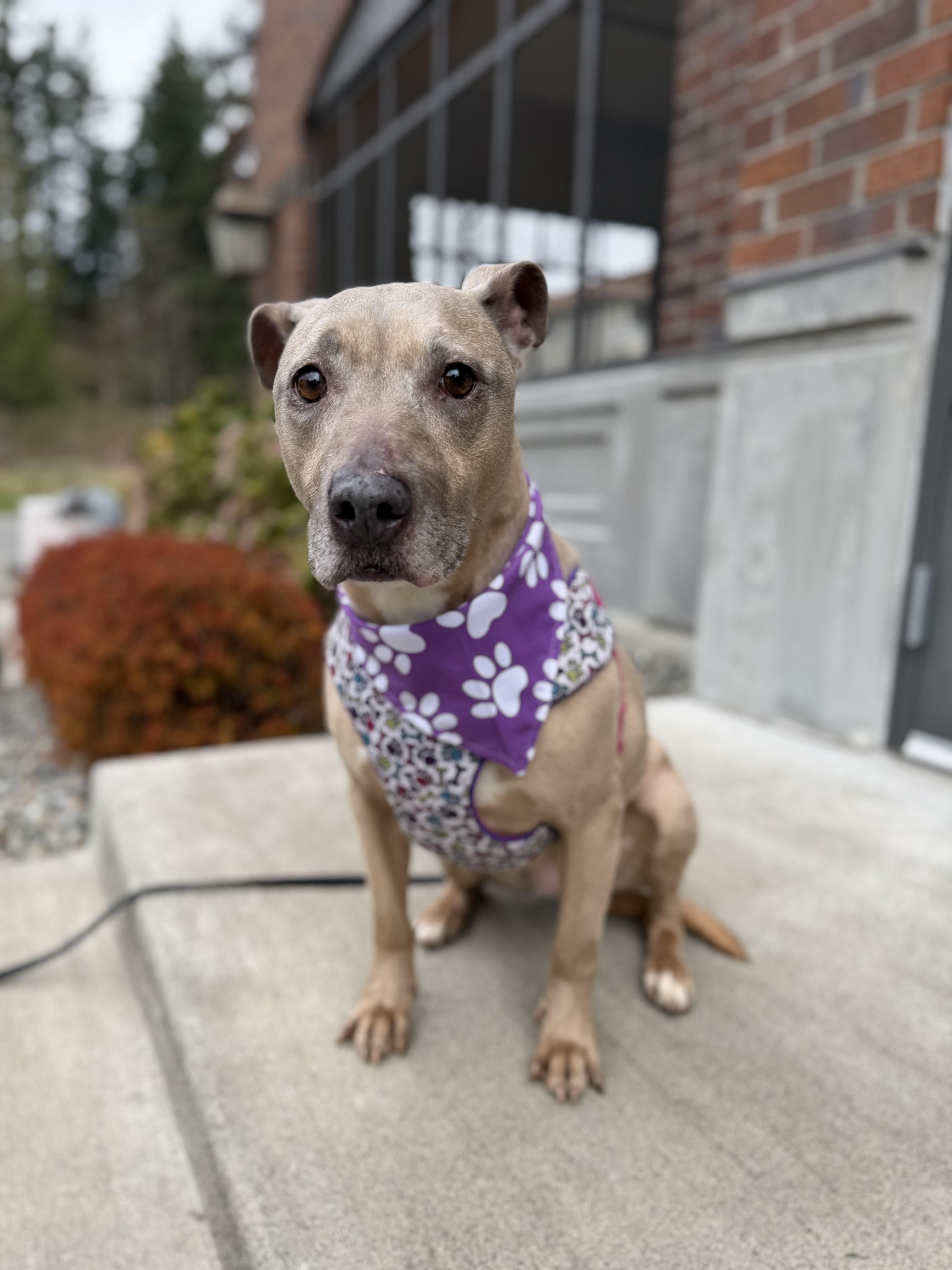 Little Mama thumbnail 6