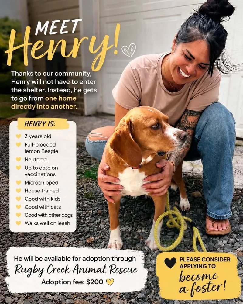 Henry thumbnail 2