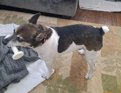 Small Paul thumbnail 2