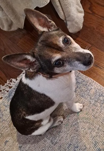 Small Paul thumbnail 3