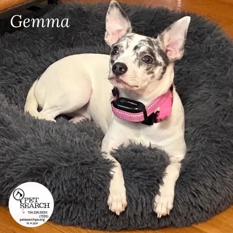 Gemma